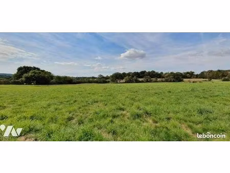 terrain 1916 m² porcaro