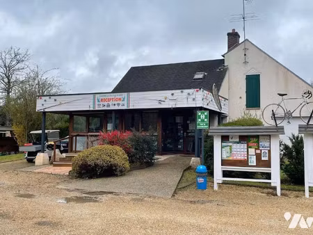 vente locaux professionnels à bagneaux-sur-loing (77167)  600 000 €