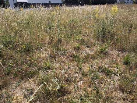 vente terrain à guer (56380) : à vendre / 1000m² guer