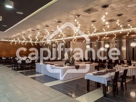 vente locaux professionnels 2 pièces 300 m² à rougé (44660)  312 000 €
