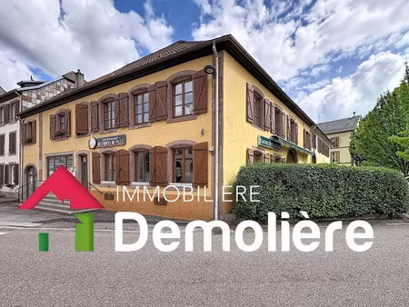 vente immeuble 482 m² à saales (67420)  367 500 €