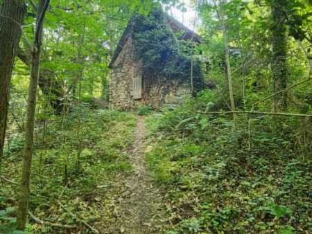 ruine de grange et terrain 46 858m2.