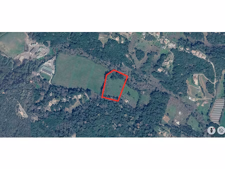 terrain agricole 1 2 hectares cervione