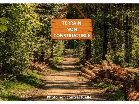 st vivien de blaye parcelle de bois non constructible