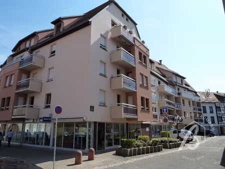 appartement à louer molsheim