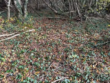 jour de chasse à louer