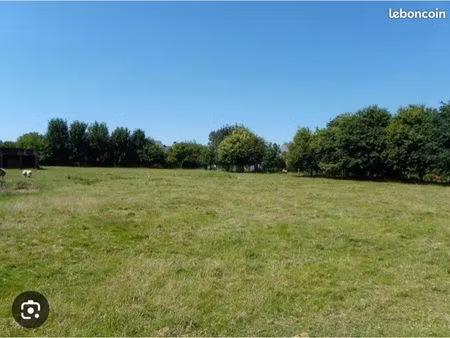 recherche terrain constructible