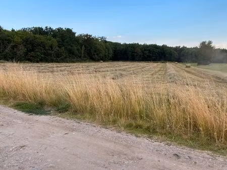 terrain pâturages 1 ha