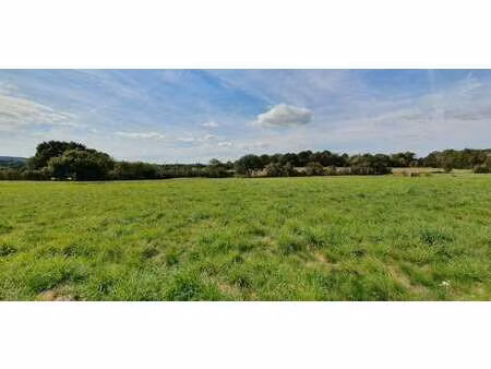 vente terrain à porcaro (56380) : à vendre / 1916m² porcaro