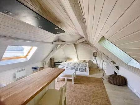 appartement angers 1 pièce(s)