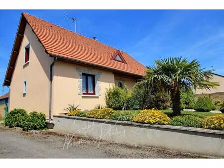 maison individuelle avec sous-sol et jardin