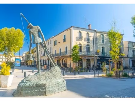 maison à vendre 3 pièces lunel (34)