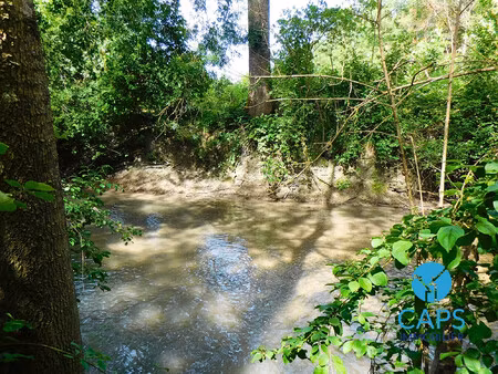 terrain de loisirs en bord de rivière