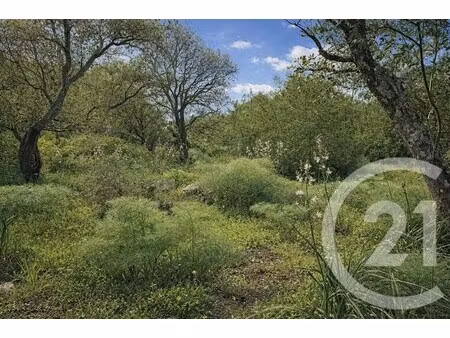 terrain porto-vecchio - 2000m²
