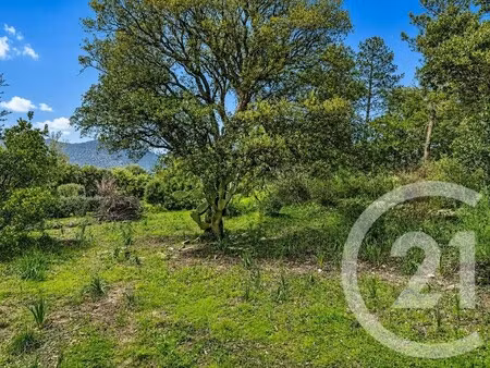 terrain zonza - 3640m²