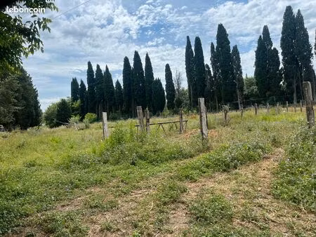 terrain agricole