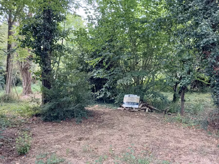 vente terrain constructible chateauneuf sur sarthe  34 000€ maine-et-loire pays de la loir
