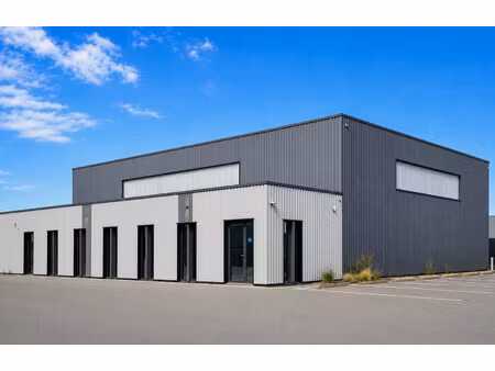 immobilier professionnel à vendre sorigny