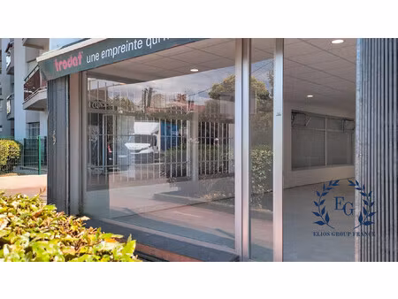immobilier professionnel à vendre montpellier