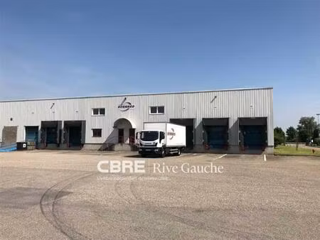 location entrepôt / local d'activités strasbourg 2 362 m²