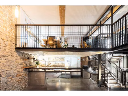 achat local professionnel 226m² lyon 1er