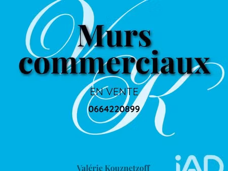 murs commerciaux à josnes (41370)
