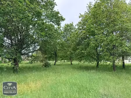 terrain à vendre - rivière (37) - 39 900€