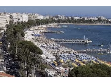 vente commerce 21 m² cannes (06400)