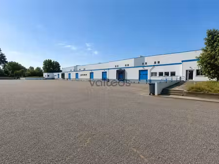 location entrepôt grisolles 82170 6526m²