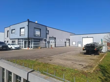 vente local d’activités schweighouse sur moder 67590 503m² à 763m²