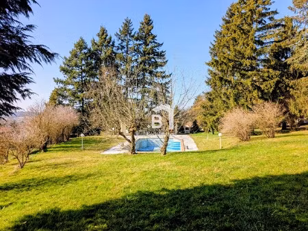 maison saint-georges-d'espéranche - 7 chambres - 310m²