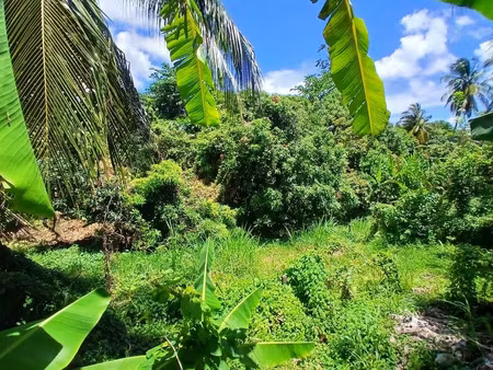 vente terrain 2000 m2 à la trinité