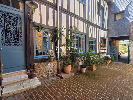 maison de ville avec son jardin + deux locations coeur de la ven