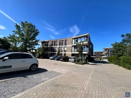 appartement te huur in beveren-kruibeke-zwijndrecht met 1 slaapkamer