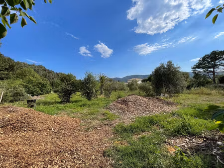 vente terrain