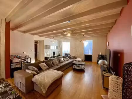 vente maison 6 pièces 199m2 mirambeau 17150 - 246750 € - surface privée