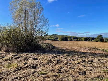 vente terrain 1000 m² paulhac (31380)
