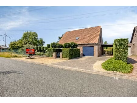 huis te koop in geel met 3 slaapkamers