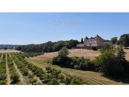 château et dependances  situation dominante