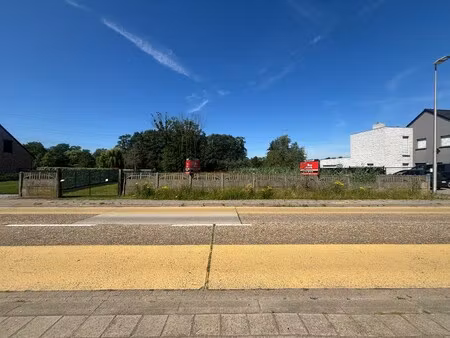 grond te koop in tessenderlo-ham