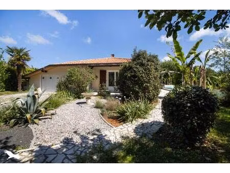 vente maison 5 pièces 128 m² mimbaste (40350)