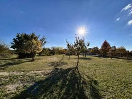 vente terrain à andard (49800) : à vendre / andard