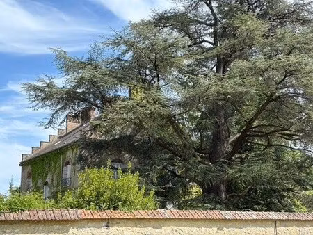 maison - provins - donnemarie-dontilly - 290m²