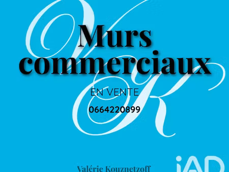 vente commerce 132 m² josnes (41370)