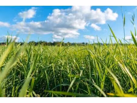 vente terrain à lanrelas (22250) : à vendre / lanrelas
