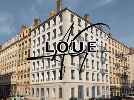 lyon 2 - studio meuble mezzanine- 20 95m2
