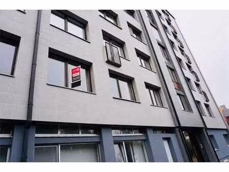 gemeubeld 1 slaapkamer appartement in het centrum van leu...