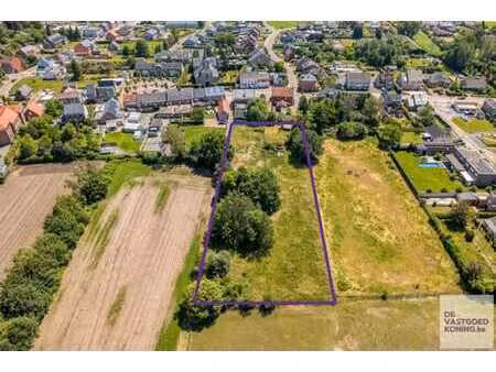 beautifully situated pasture land in wolfsdonk (langdorp)