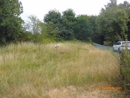 terrain agricole boisé