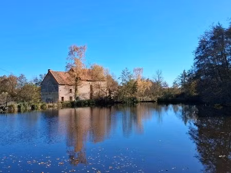 achat : maison (03290)